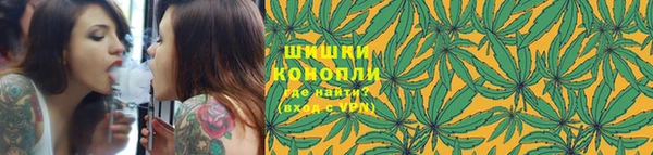 крисы Вяземский