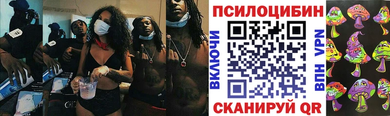 Псилоцибиновые грибы Psilocybe  Осинники 